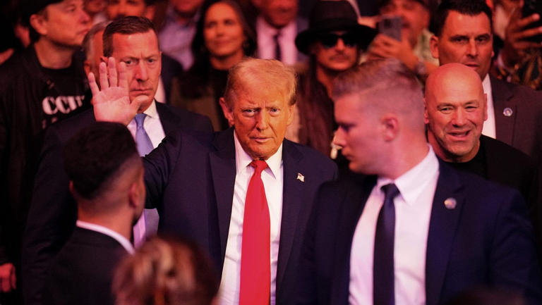 Sean stands behind Trump at a campaign rally at Madison Square Garden in New York City. Sean stands behind Trump at a campaign rally at Madison Square Garden in New York City.