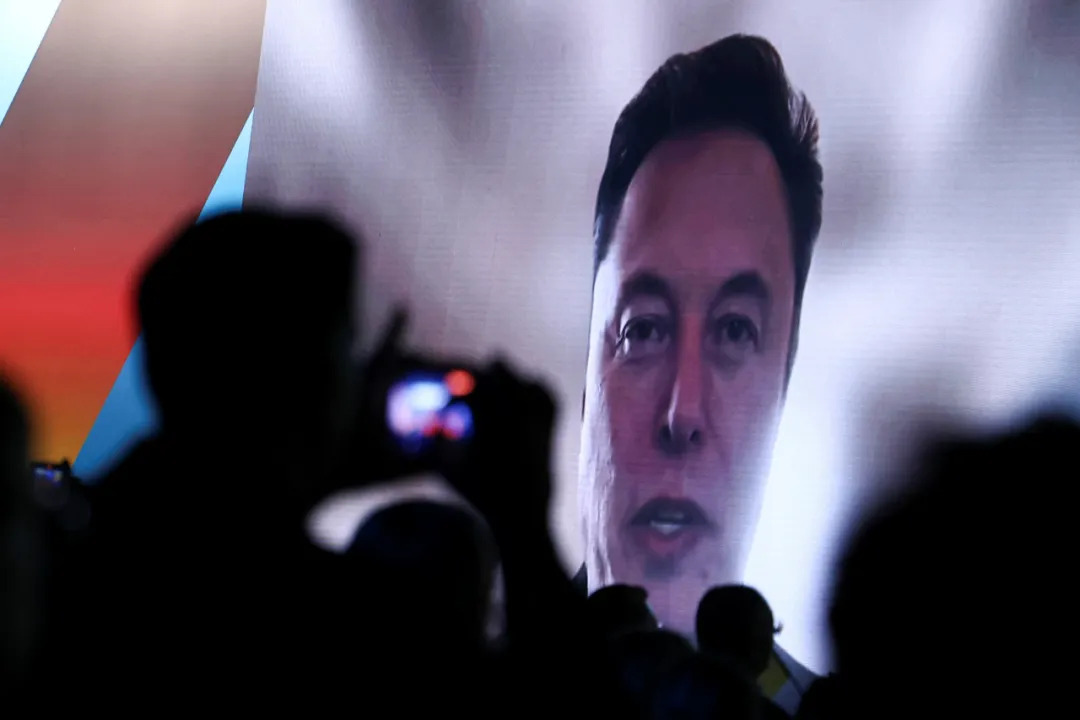 Musk delivered a speech to the AfD rally via live video broadcast Musk delivered a speech to the AfD rally via live video broadcast